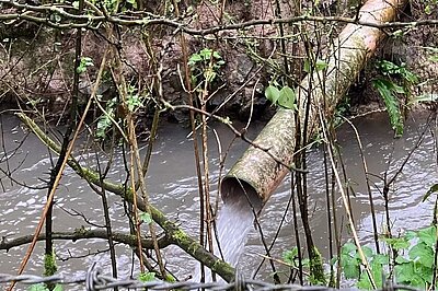 An outflow pipe pumping out into an East Hampshire stream during a dumping incident