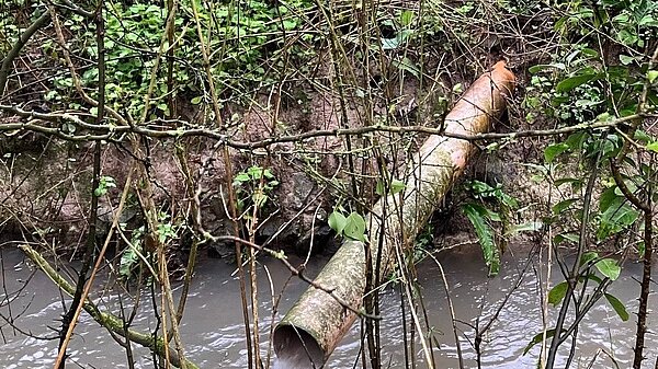 An outflow pipe dumping into a stream.